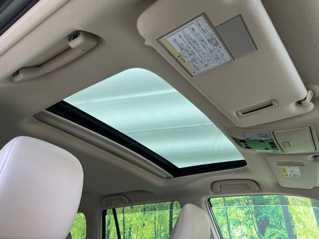 �y�T�����[�t�z�J���������Ղ�̊󏭑����A�T�����[�t����������Ă��܂�!�ԓ��ɖ�����������ꂽ��i�F���y���ވȊO�ɂ��A�ԓ��̋�C���ȒP�Ɋ��C�ł��ĉ��K�ł�!