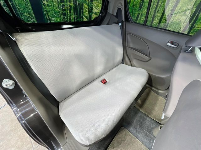 �㕔���Ȃ��C�ɂȂ�悤�ȃL�Y�E�����ւ��蓙�A�傫�ȃ_���[�W�͂Ȃ��A�ǍD�ȏ�Ԃł��B