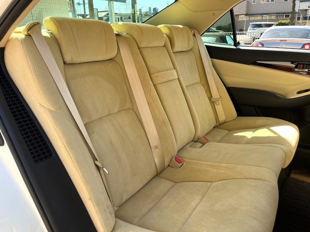 �㕔���Ȃ��C�ɂȂ�悤�ȃL�Y�E�����ւ��蓙�A�傫�ȃ_���[�W�͂Ȃ��A�ǍD�ȏ�Ԃł��B