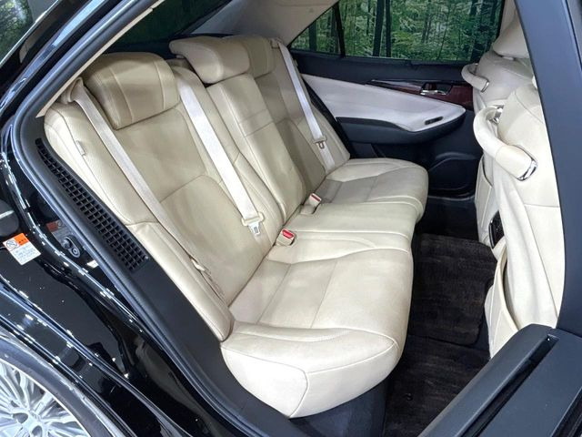 �㕔���Ȃ��C�ɂȂ�悤�ȃL�Y�E�����ւ��蓙�A�傫�ȃ_���[�W�͂Ȃ��A�ǍD�ȏ�Ԃł��B