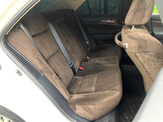 �㕔���Ȃ��C�ɂȂ�悤�ȃL�Y�E�����ւ��蓙�A�傫�ȃ_���[�W�͂Ȃ��A�ǍD�ȏ�Ԃł��B