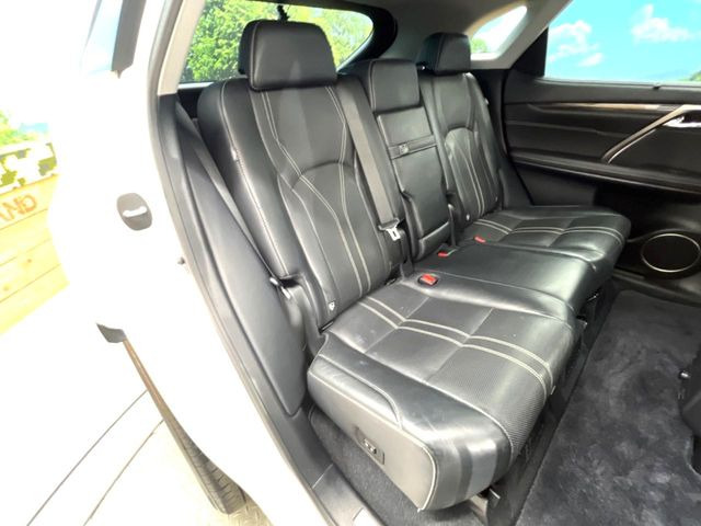 �㕔���Ȃ��C�ɂȂ�悤�ȃL�Y�E�����ւ��蓙�A�傫�ȃ_���[�W�͂Ȃ��A�ǍD�ȏ�Ԃł��B