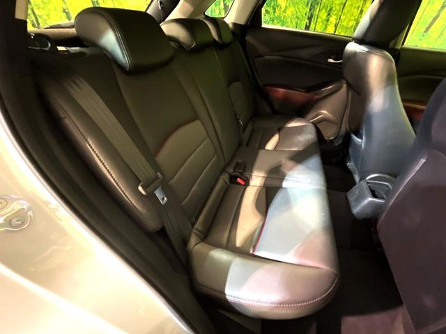 �㕔���Ȃ��C�ɂȂ�悤�ȃL�Y�E�����ւ��蓙�A�傫�ȃ_���[�W�͂Ȃ��A�ǍD�ȏ�Ԃł��B