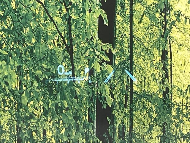 �y�J���[�w�b�h�A�b�v�f�B�X�v���C�z���݂̑��x�⑖�s�����f�W�^���\���ŉ^�]�ȑO���̃K���X�ɓ��e!�J���[�t���Ŏ��F���������A�^�]���ڐ������炳���K�v�ȏ����m�F�ł���̂łƂ��Ă��֗��ň��S!