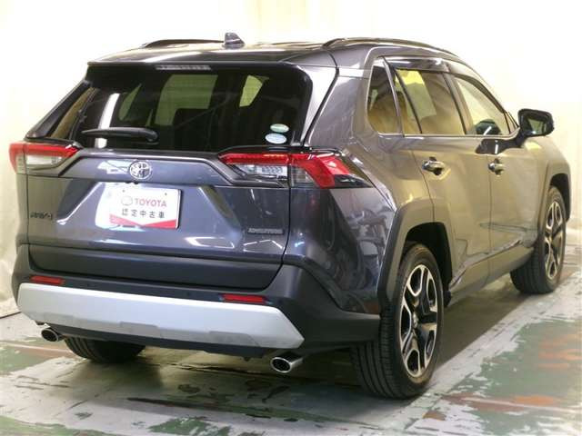 RAV42.0 アドベンチャー 4WD