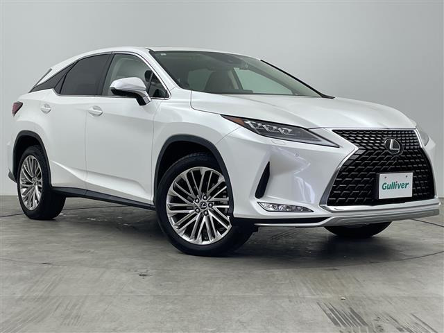 RX300 バージョンL