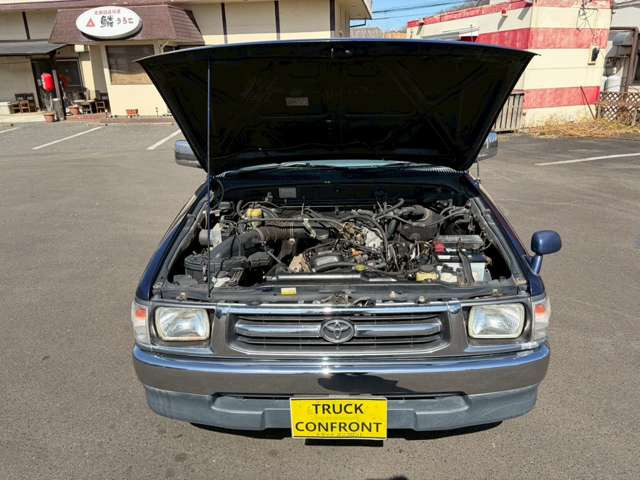 �L�Y�E�T�r������܂����A��Ԃ͗ǍD�ł�