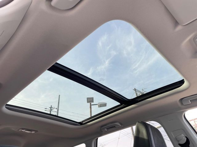 ���p�m���}�~�b�N�K���X���[�t:�唗�͂̃p�m���}���[�t�́A�㕔���Ȃɂ܂ő����Ă���A�J���I�ȋ�Ԃ����y���݂��������܂��B