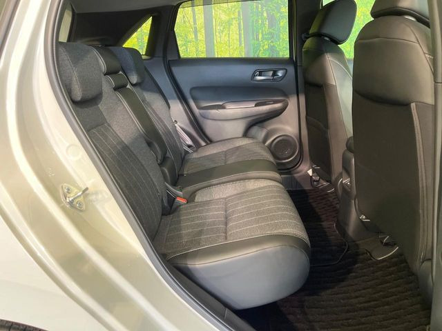 �㕔���Ȃ��C�ɂȂ�悤�ȃL�Y�E�����ւ��蓙�A�傫�ȃ_���[�W�͂Ȃ��A�ǍD�ȏ�Ԃł��B