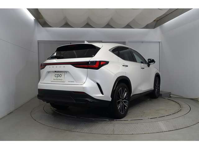 NX250 バージョンL