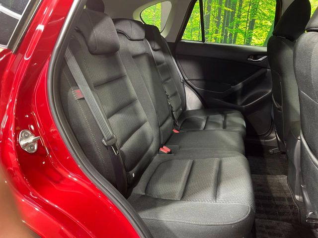 �㕔���Ȃ��C�ɂȂ�悤�ȃL�Y�E�����ւ��蓙�A�傫�ȃ_���[�W�͂Ȃ��A�ǍD�ȏ�Ԃł��B