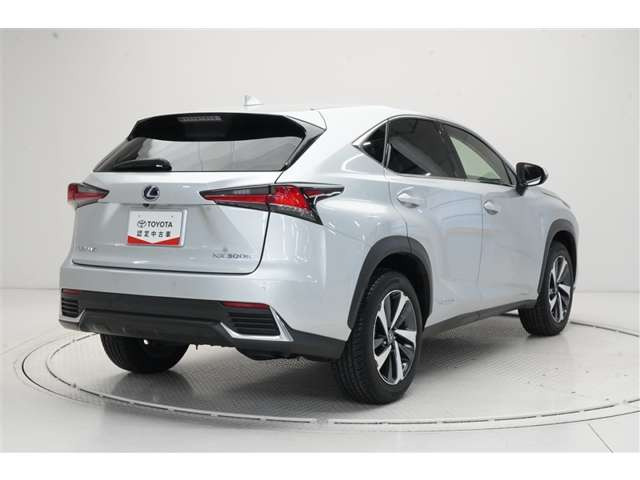 NX300h Iパッケージ 4WD