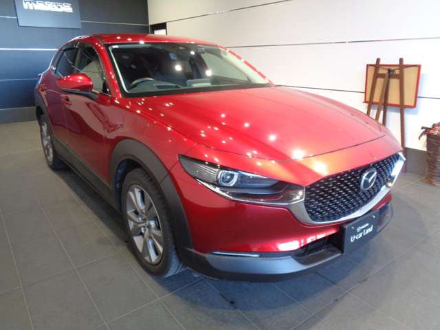 CX-302.0 20S プロアクティブ ツーリングセレクション