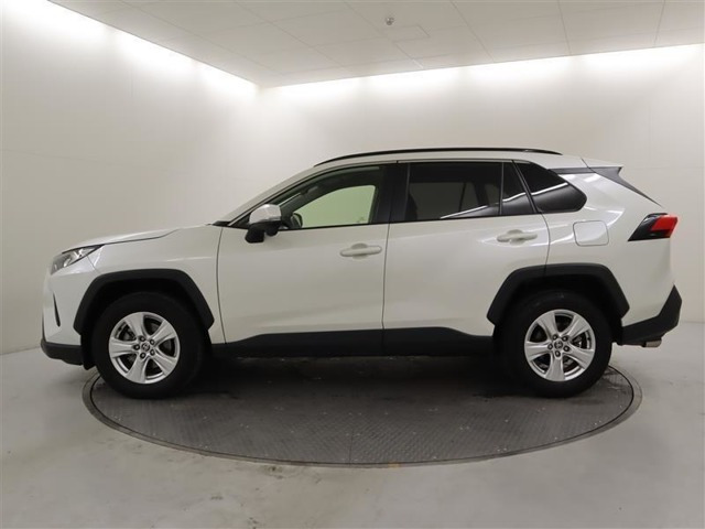 RAV42.0 X