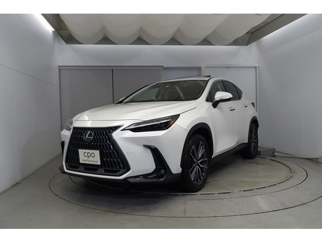 NX250 バージョンL