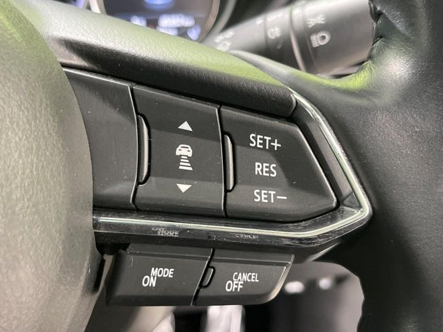 �y�}�c�_�E���[�_�[�N���[�Y�R���g���[���z�������H�ł̒��������s���y��!�����ő��x��ۂN���[�Y�R���g���[�����A�Փˌy���V�X�e���ƘA�g���A�O���̎ԗ������m���ĎԊԂ�ۂ悤�ɑ��x���߂��Ă���܂�!!