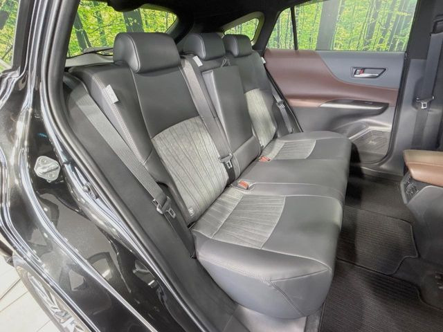 �㕔���Ȃ��C�ɂȂ�悤�ȃL�Y�E�����ւ��蓙�A�傫�ȃ_���[�W�͂Ȃ��A�ǍD�ȏ�Ԃł��B