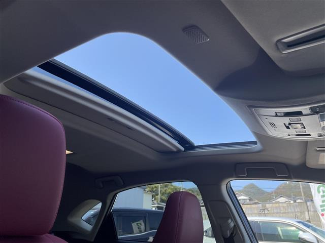 NX300h Iパッケージ