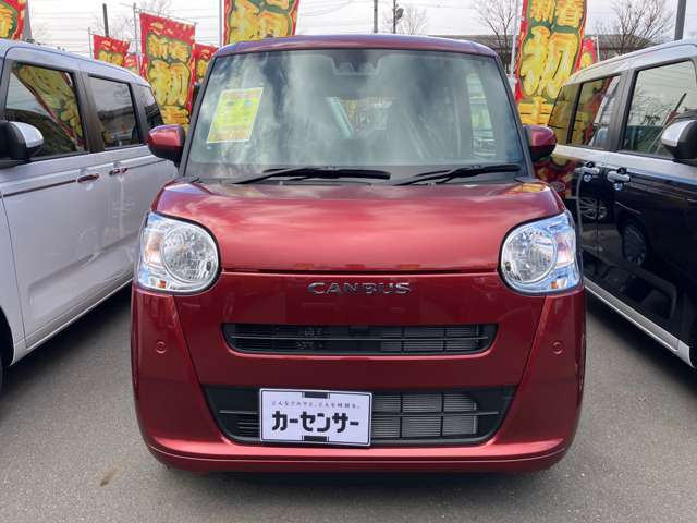 ムーヴキャンバスセオリー X