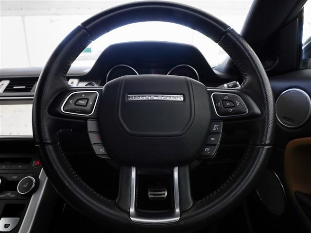 ��ɓ���ރ��U�[�X�e�A�����O