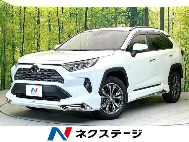 RAV4(トヨタ) 2.0 G 4WD 中古車画像