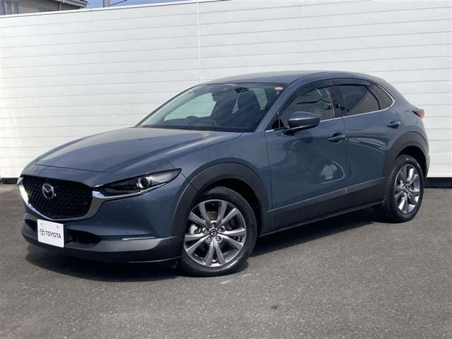 CX-301.8 XD Lパッケージ