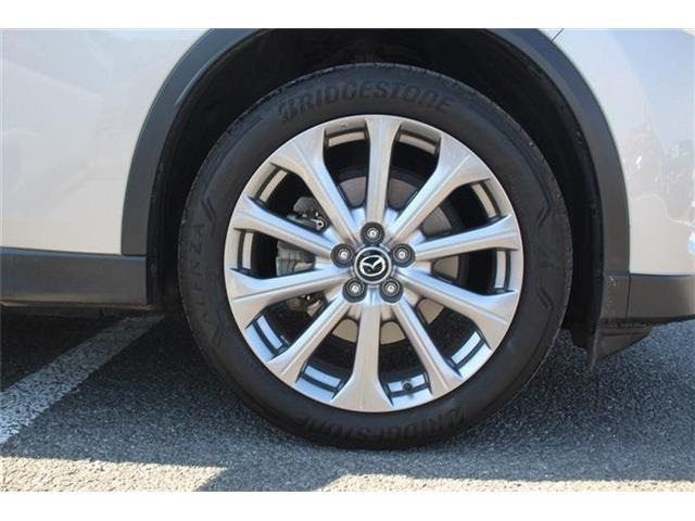 ���Ǝҗl�ւ̔̔��͂��f�肳���Ă��������܂��B �Ԍ������ԗ��̏ꍇ�́A�Ԍ����擾�������x�������z�ŕ\�����Ă���܂��B