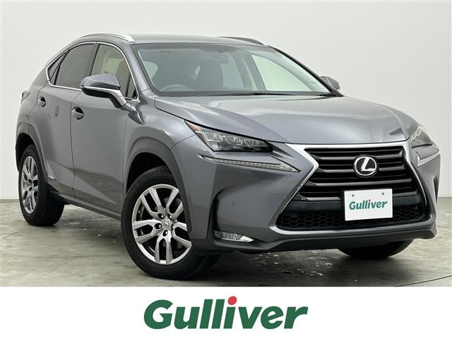 NX300h Iパッケージ 4WD