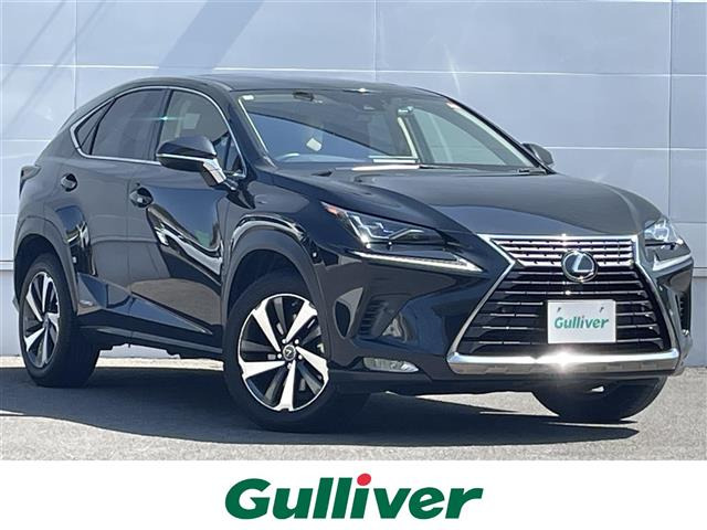 NX300h Iパッケージ