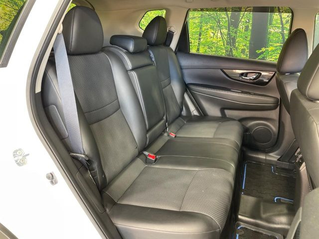 �㕔���Ȃ��C�ɂȂ�悤�ȃL�Y�E�����ւ��蓙�A�傫�ȃ_���[�W�͂Ȃ��A�ǍD�ȏ�Ԃł��B