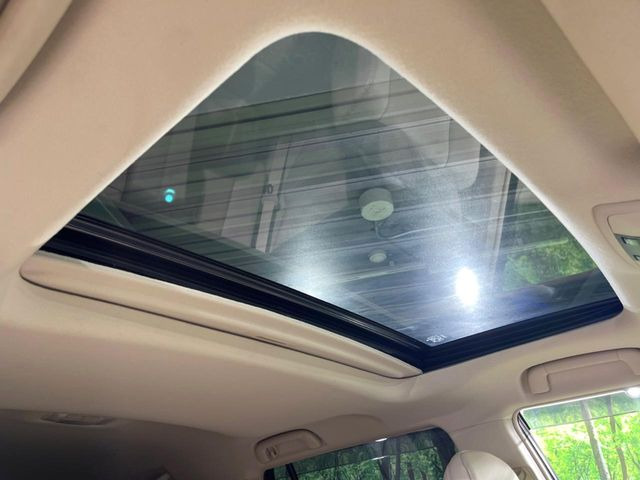 �y�T�����[�t�z�J���������Ղ�̊󏭑����A�T�����[�t����������Ă��܂�!�ԓ��ɖ�����������ꂽ��i�F���y���ވȊO�ɂ��A�ԓ��̋�C���ȒP�Ɋ��C�ł��ĉ��K�ł�!