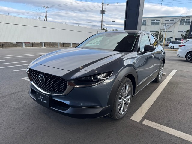 CX-301.8 XD ツーリング