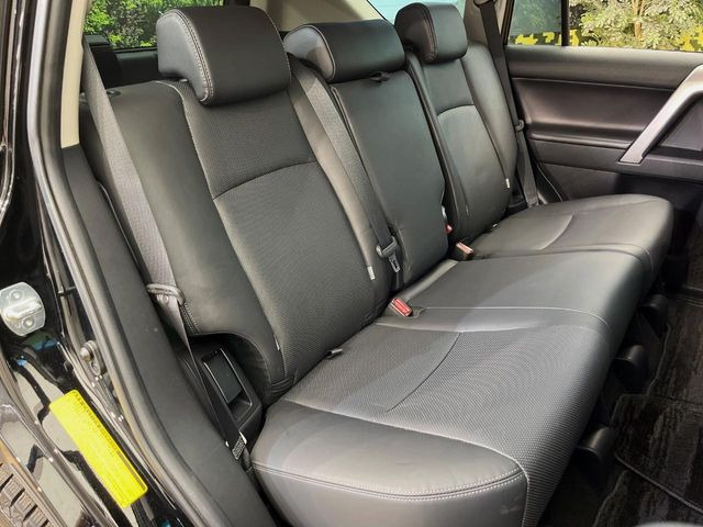 �㕔���Ȃ��C�ɂȂ�悤�ȃL�Y�E�����ւ��蓙�A�傫�ȃ_���[�W�͂Ȃ��A�ǍD�ȏ�Ԃł��B