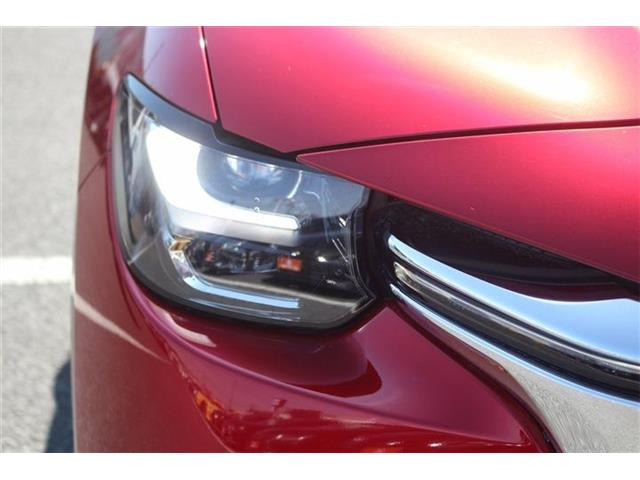 ���Ǝҗl�ւ̔̔��͂��f�肳���Ă��������܂��B �Ԍ������ԗ��̏ꍇ�́A�Ԍ����擾�������x�������z�ŕ\�����Ă���܂��B