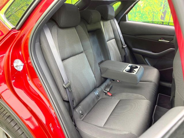 �㕔���Ȃ��C�ɂȂ�悤�ȃL�Y�E�����ւ��蓙�A�傫�ȃ_���[�W�͂Ȃ��A�ǍD�ȏ�Ԃł��B