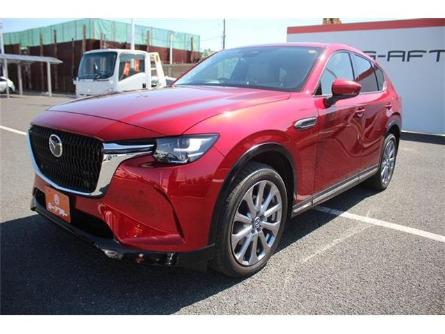 ���Ǝҗl�ւ̔̔��͂��f�肳���Ă��������܂��B �Ԍ������ԗ��̏ꍇ�́A�Ԍ����擾�������x�������z�ŕ\�����Ă���܂��B