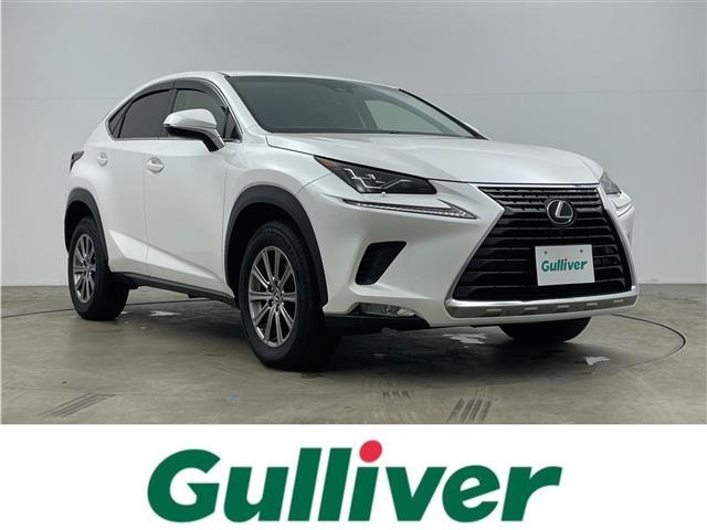 NX300 Iパッケージ