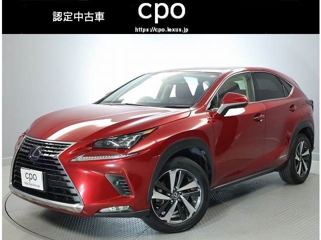 NX300h Iパッケージ