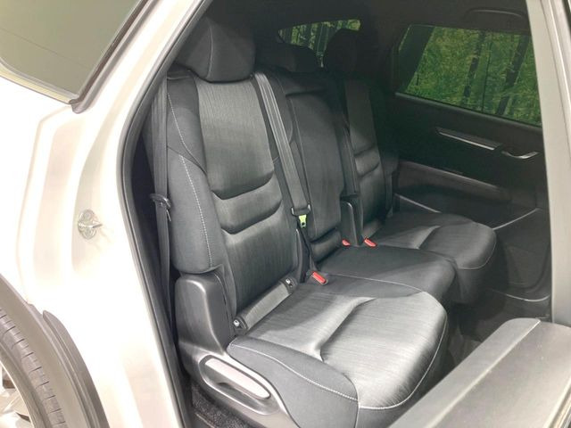 �㕔���Ȃ��C�ɂȂ�悤�ȃL�Y�E�����ւ��蓙�A�傫�ȃ_���[�W�͂Ȃ��A�ǍD�ȏ�Ԃł��B