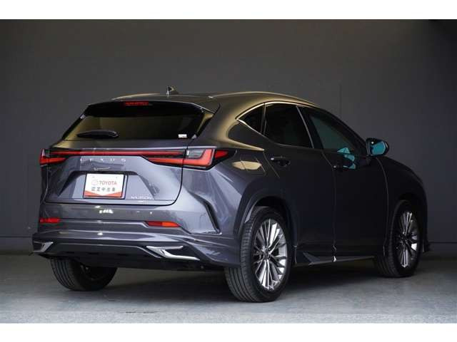 NX450hプラス バージョンL 4WD