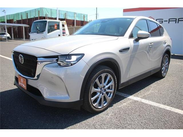 ���Ǝҗl�ւ̔̔��͂��f�肳���Ă��������܂��B �Ԍ������ԗ��̏ꍇ�́A�Ԍ����擾�������x�������z�ŕ\�����Ă���܂��B