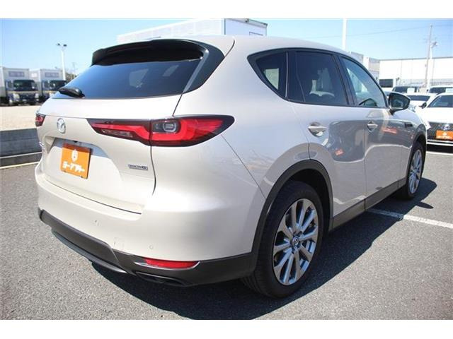 ���Ǝҗl�ւ̔̔��͂��f�肳���Ă��������܂��B �Ԍ������ԗ��̏ꍇ�́A�Ԍ����擾�������x�������z�ŕ\�����Ă���܂��B