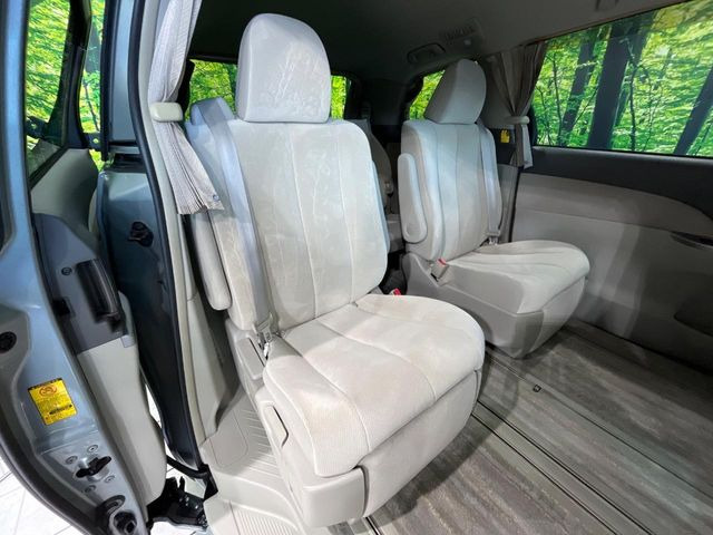 �㕔���Ȃ��C�ɂȂ�悤�ȃL�Y�E�����ւ��蓙�A�傫�ȃ_���[�W�͂Ȃ��A�ǍD�ȏ�Ԃł��B