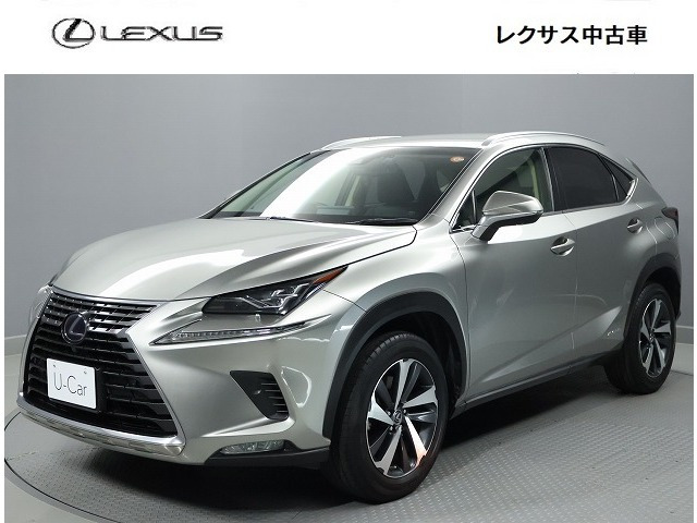 NX300h Iパッケージ