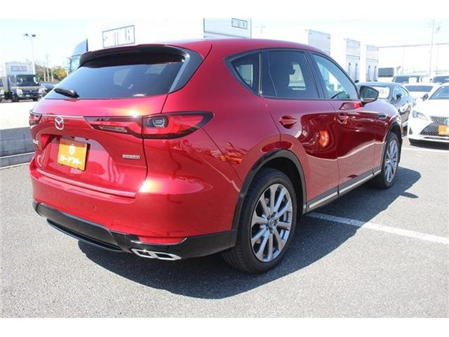 ���Ǝҗl�ւ̔̔��͂��f�肳���Ă��������܂��B �Ԍ������ԗ��̏ꍇ�́A�Ԍ����擾�������x�������z�ŕ\�����Ă���܂��B