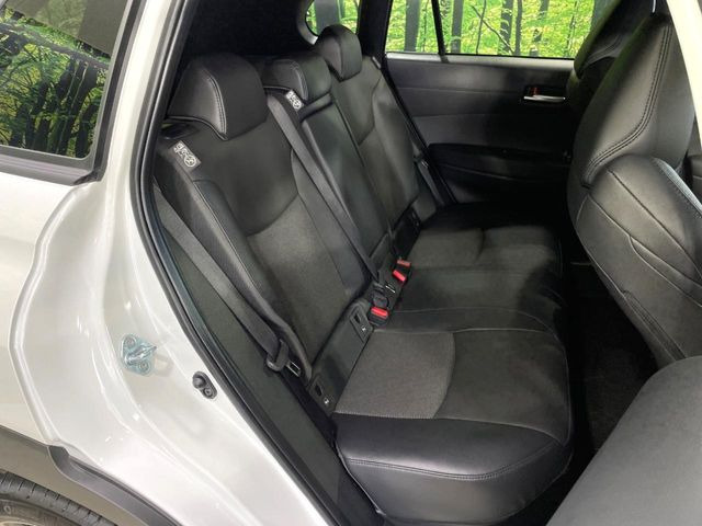 �㕔���Ȃ��C�ɂȂ�悤�ȃL�Y�E�����ւ��蓙�A�傫�ȃ_���[�W�͂Ȃ��A�ǍD�ȏ�Ԃł��B