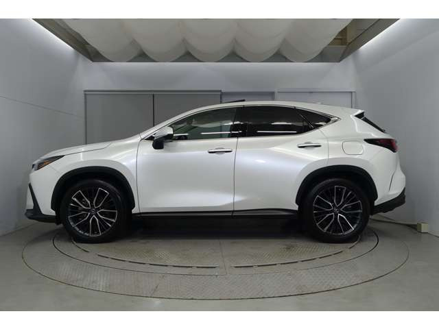 NX250 バージョンL