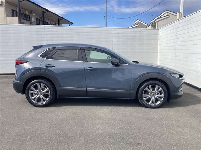 CX-301.8 XD Lパッケージ