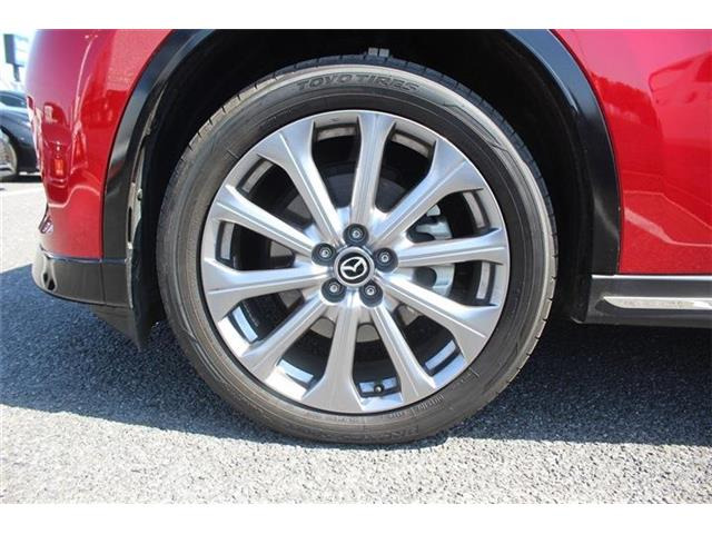 ���Ǝҗl�ւ̔̔��͂��f�肳���Ă��������܂��B �Ԍ������ԗ��̏ꍇ�́A�Ԍ����擾�������x�������z�ŕ\�����Ă���܂��B