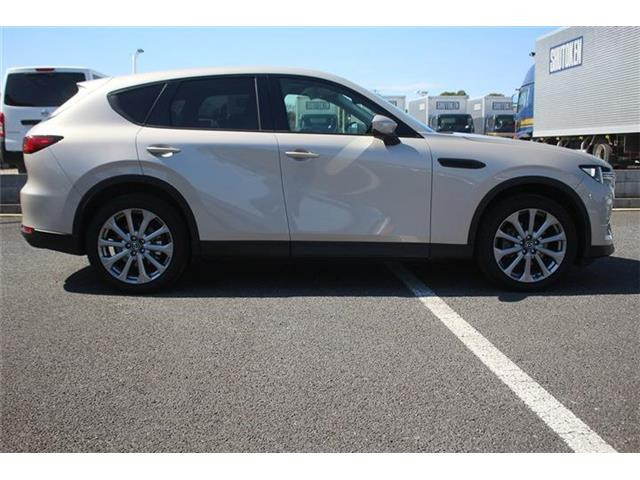 ���Ǝҗl�ւ̔̔��͂��f�肳���Ă��������܂��B �Ԍ������ԗ��̏ꍇ�́A�Ԍ����擾�������x�������z�ŕ\�����Ă���܂��B